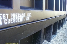 crest00060
